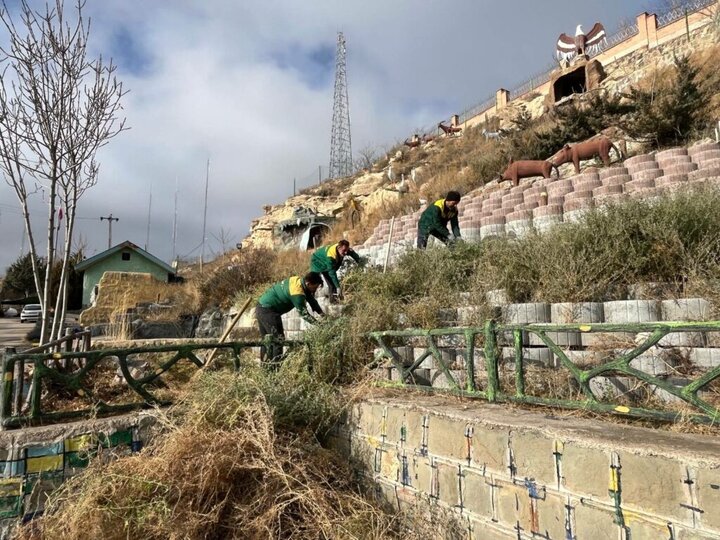 خدمتی:عملیات کاشت گل و گیاه در سطح شهر اردبیل در حال انجام است