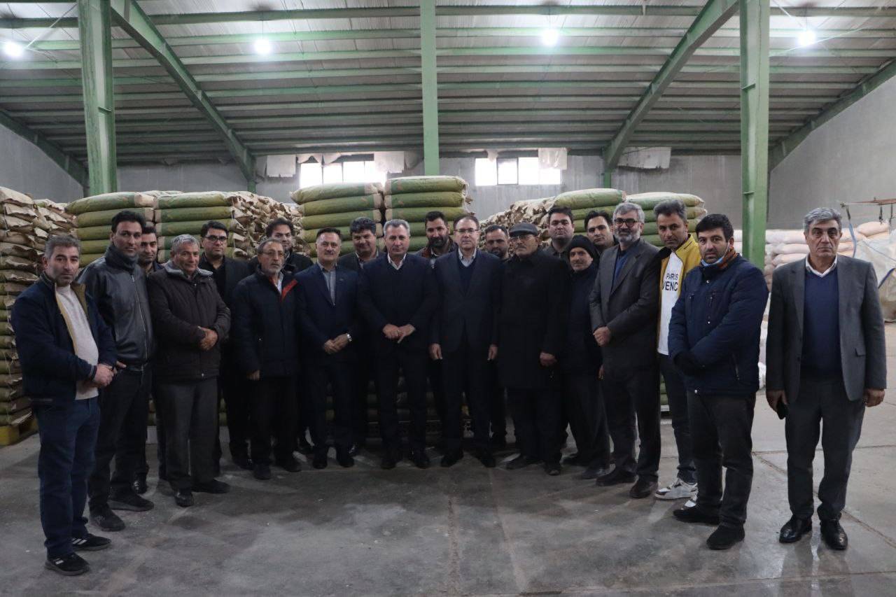 ‍ آغاز فرآیند تجمیع بذر ذرت رقم۷۰۴ تولیدی سال۱۴۰۳ شرکتهای تولیدکننده دشت مغان