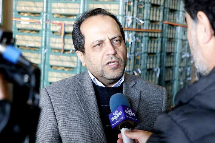 احدی عالی: میوه شب عید به اندازه کافی ذخیره سازی شده است