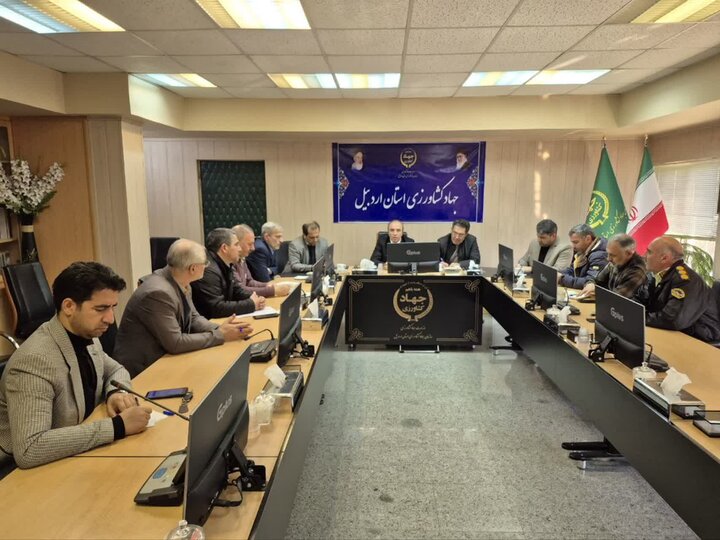 احدی عالی:شاهد تثبیت قیمت و کمیت کالا خواهیم بود