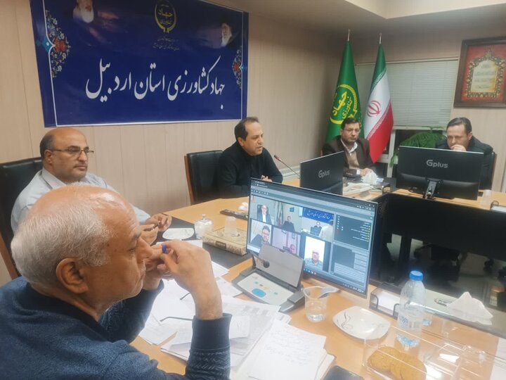 احدی عالی:یارانه کالاهای اساسی به سفره مردم انتقال می یابد