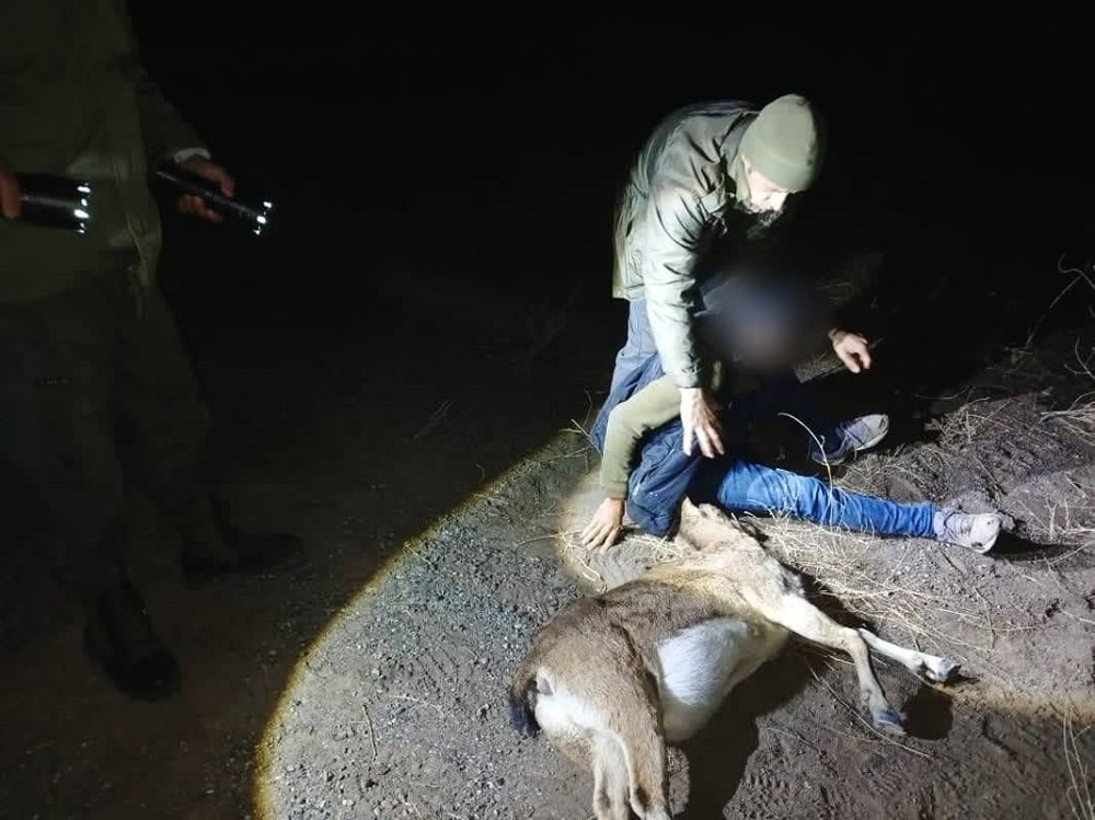 دستگیری شکارچی بز کوهی در شهرستان کوثر