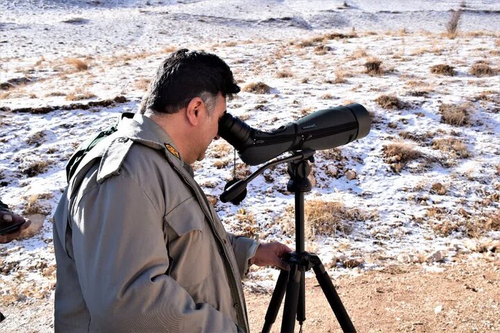 سفیدی: ۴۹۵ متخلف حوزه محیط زیست به مراجع قضایی اردبیل معرفی شدند