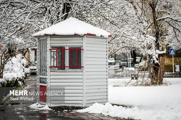 کوهی:هوای سرد و یخبندان تا پنجشنبه در اردبیل حاکم است