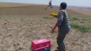 رهاسازی ۵ بهله دلیجه پس از تیمار در شمال اردبیل