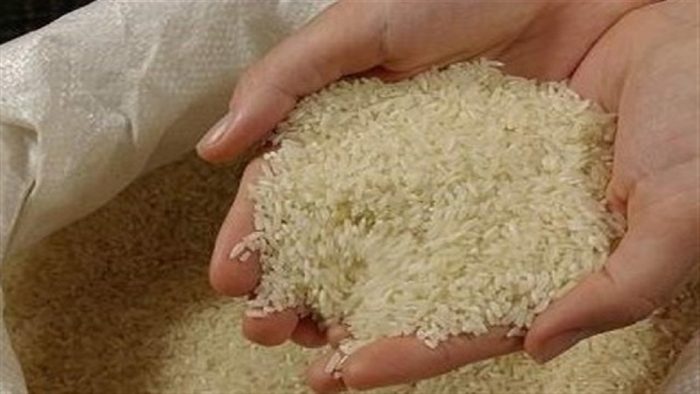 فروش برنج تقلبی در اردبیل فروش برنج تقلبی در اردبیل